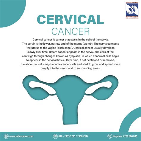 Cervical Cancer Demystified A Comprehensive Guide Induscancer