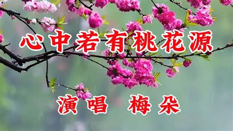 好听的情歌《心中若有桃花源》梅朵演唱 音乐视频 搜狐视频