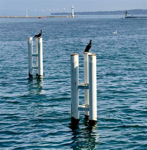 Switzerland – Lake Geneva – Funky Adventurer