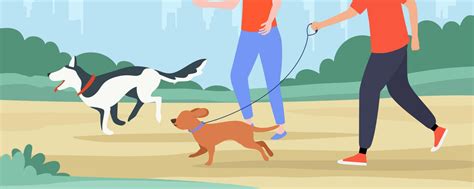 Площадка для выгула и дрессировки собак | Площадка для выгула и ...