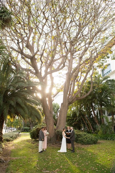 The Marriage Tree At The Santa Barbara Courthouse Gardens — Santa