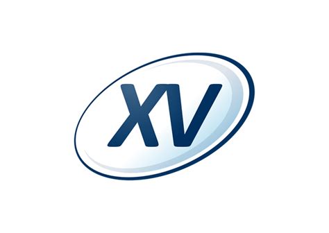 team xv finance
