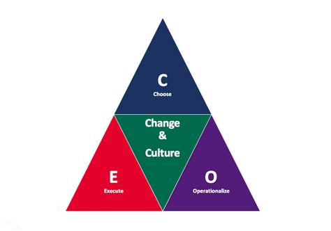ceo model  project portfolio success