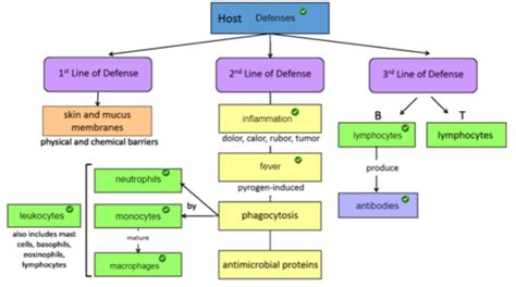 Microbiology Fundamentals Ch 12 Flashcards Quizlet