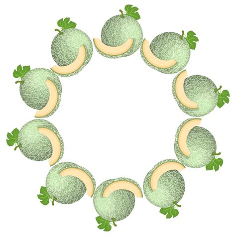 Couronne De Melon Cantaloup Vert Avec Un Espace Pour Le Texte Aliments