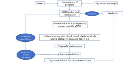 Flow Chart Of A Virtual Multidisciplinary Tumor Board Meeting Download Scientific Diagram