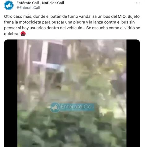 En Video Quedó El Ataque A Piedra A Un Bus Del MÍo En Cali Infobae