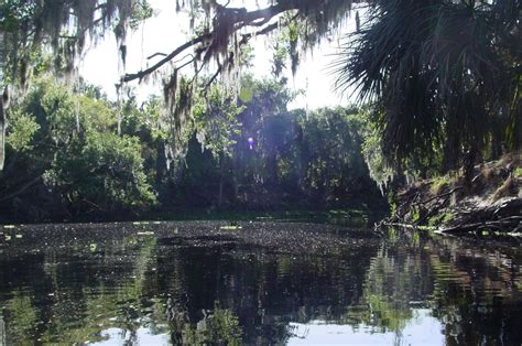 Peace River, Florida : EarthPorn
