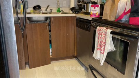 Sexy Bear Unpacks Groceries In Gay Underwear Thong Undress The Bear Clips Sale