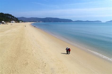 완도 신지 명사십리 해수욕장 안심예약제 시행