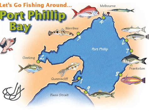 fishing port phillip bay vfa