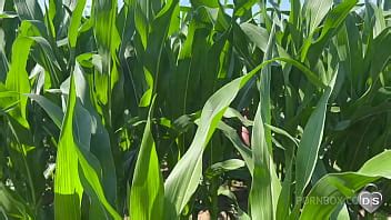 Outdoor Dildo And Fist Fuck In A Cornfield Xnxx