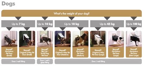 Cat Door Size Chart: A Visual Reference of Charts | Chart Master