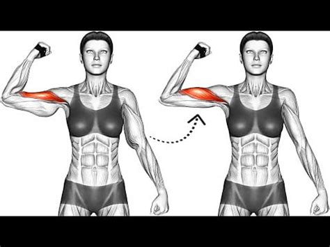 Ultimate Arm Definition Workout: Sculpt Your Arms with Proven Exercises