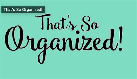 Thats So Organized Logo In 2023 Organization Logo