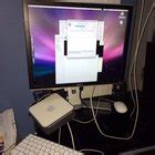 Fuck The Duck Until Exploded R Pics