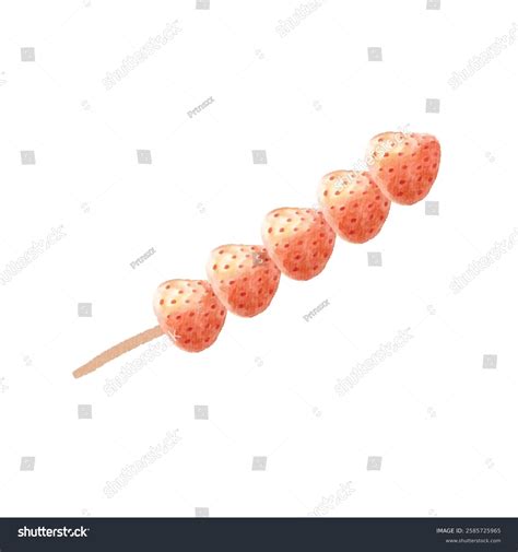 watercolor hand drawn strawberry tanghulu traditional stock vector