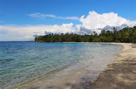 solomon islands beach stock  pictures royalty  images