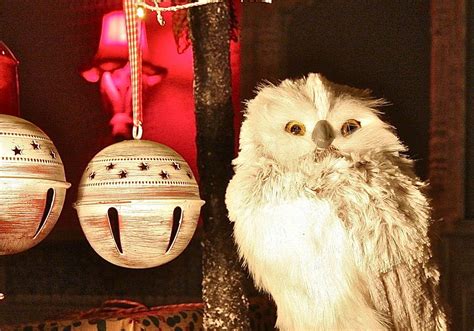 Review Of Owl Christmas Decorations References Adriennebailoncoolschw