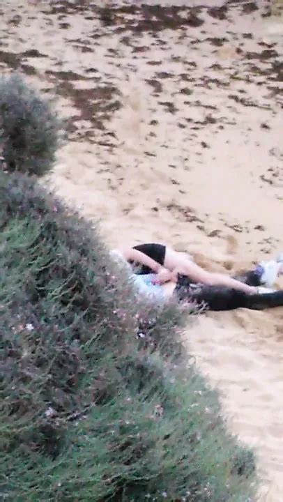 Punhetinha Na Praia Free Female Masturbation HD Porn Video XHamster