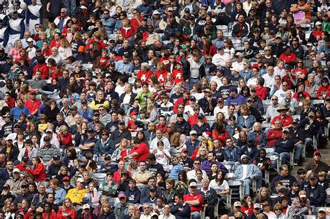 Sports Fans