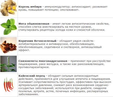 Маочжэн пластырь — применение, цена, отзывы пациентов