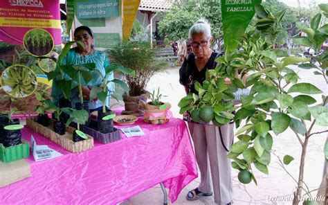 Mefcca Desarrolla Feria De Tecnolog As Agropecuarias Para Uso En Los