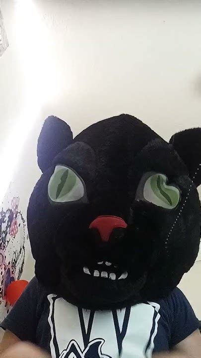 2 New Fursuits Youtube
