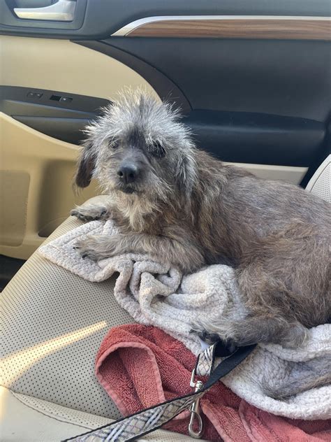 Nate's Honor Animal... - Nate's Honor Animal Rescue Center