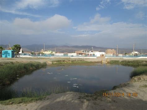 Laguna La Encantada Ca Ete En Chilca