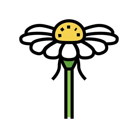 Chamomile Flower Bud Color Icon Vector Illustration 10188606 Vector Art