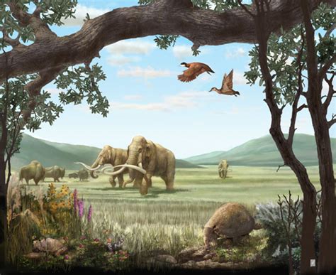Pruned The Pleistocene Park