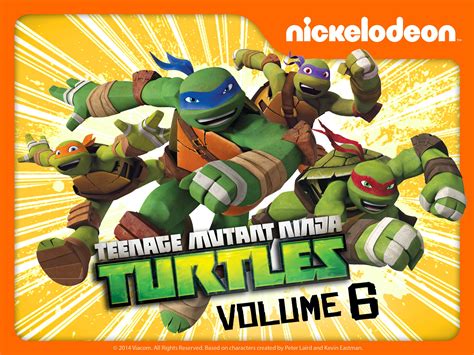 Teenage Mutant Ninja Turtles Season 6