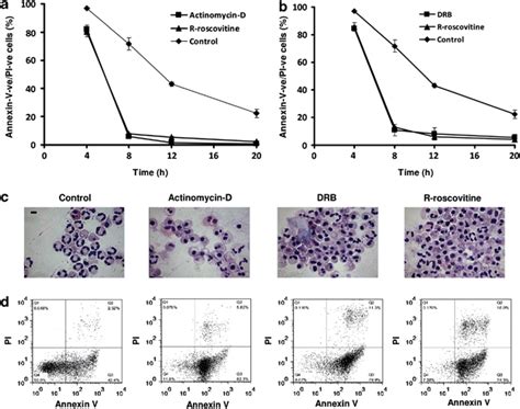 The Cdk Inhibitors R Roscovitine And Drb And The Transcription Download Scientific Diagram