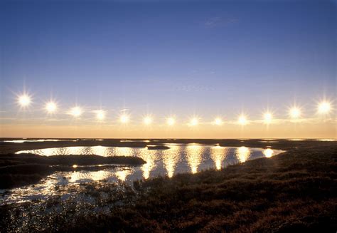 Read Midnight Sun Online 8