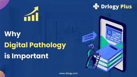 Why Digital Pathology Is Important Drlogy