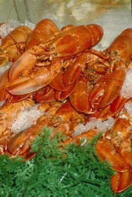 how to cook frozen lobsters