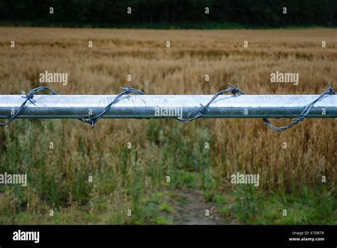Barbed Wire Gate Hi Res Stock Photography And Images Alamy