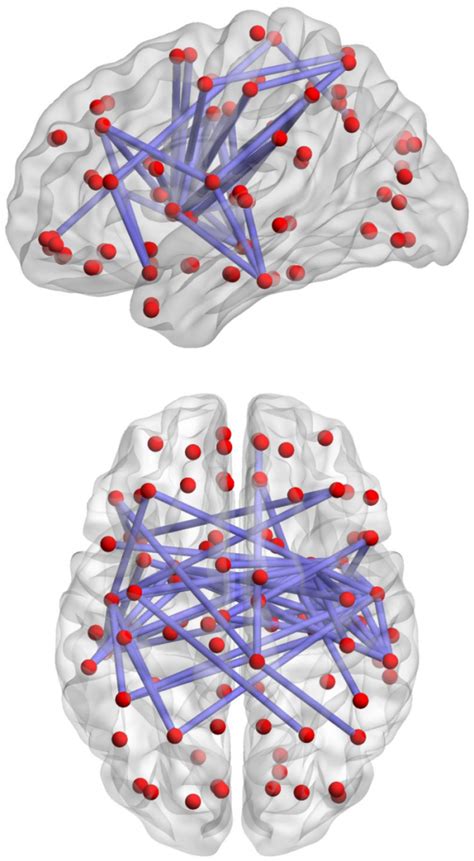 Neural Net Ascension Glossary