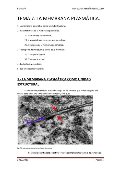 LA Membrana Celular Histologia Y Citologia TEMA 7 LA MEMBRANA