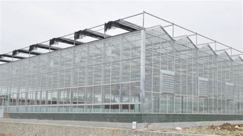 Теплицы по технологии VENLO - под заказ и купить из наличия с доставкой ...