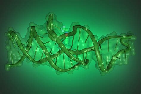 DNA can fold into complex shapes to execute new functions