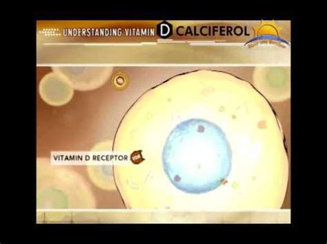 Calciferol - YouTube