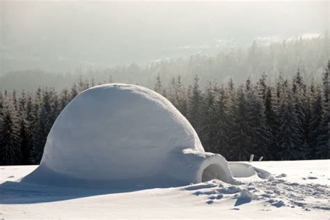 build  igloo stock  pictures royalty  images istock