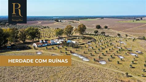 Herdade 58 Hectares Em Estremoz REF 3179 YouTube