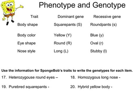 Bikini Bottom Genetics Practice