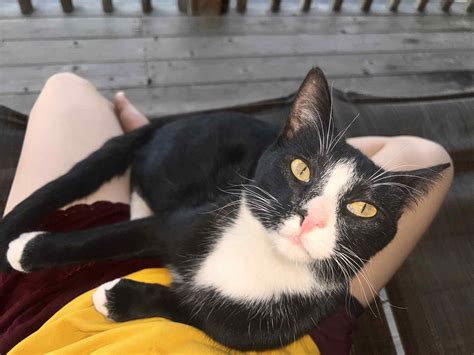 Nader O’Leary – 406 Pet Crematory