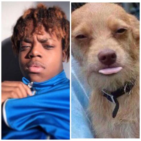 lightskin face meme 11
