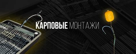 Карповые монтажи от фрола-68 | Сделаю для вас карповые монтажи и ...