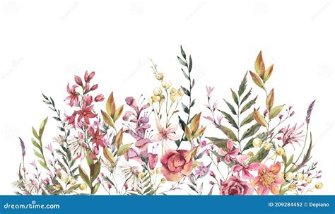 Wildflowers Stock Photo 72174966